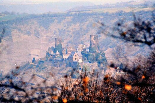 Burg Thurant_DSC_4638.jpg