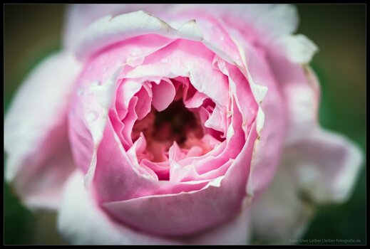 DSC_0977.jpg