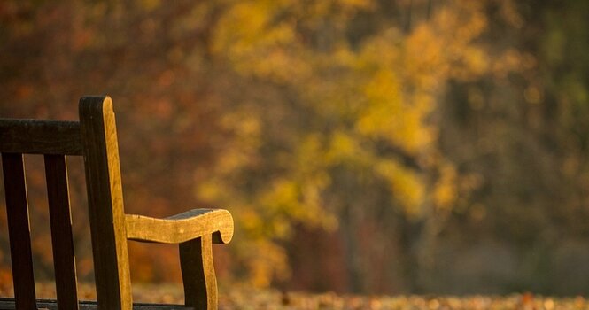 goldene Stunde: Gartenbank im Anschnitt vor Herbstlaub