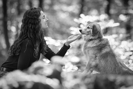 DSC_2764 (3).jpg