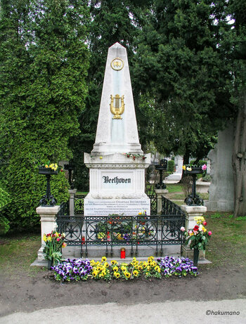 Beethoven Wien.jpg
