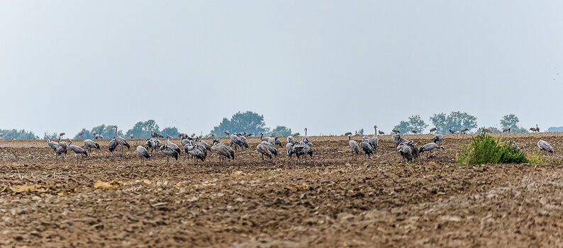750_2637_DxO.JPG
