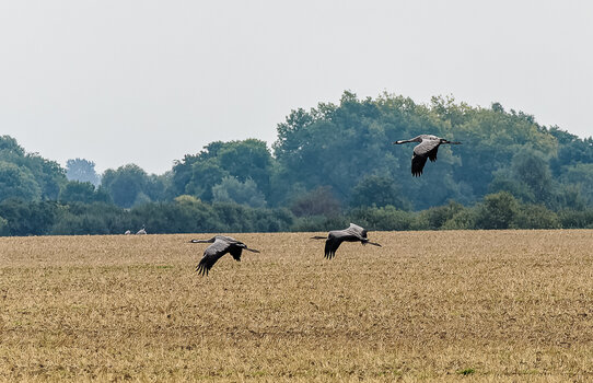 750_2626_DxO.JPG