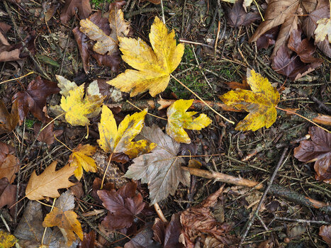 WEBEM520137.jpg