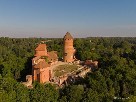 20200821-DJI_0845.jpg
