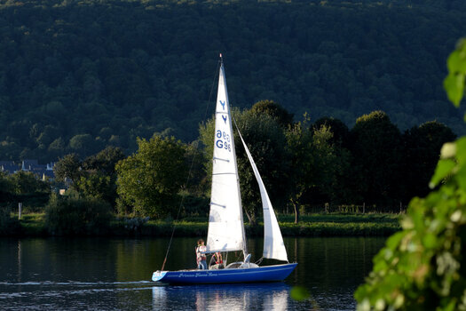 DSC_1307.JPG