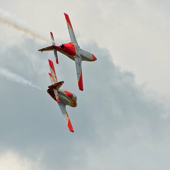 DS2_1155.jpg