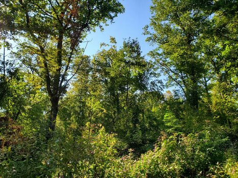 20210923_161955.jpg
