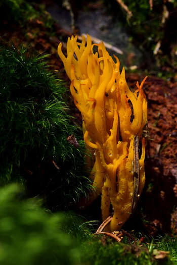 _DSC0132_00001_01.jpg