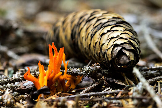 _DSC0124_00001_01.jpg