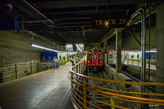 NewYork Central Station 1.jpg