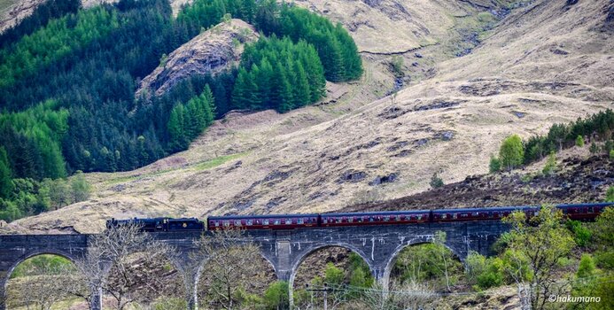 Glenfinnan Viaduct Potter 1.jpg
