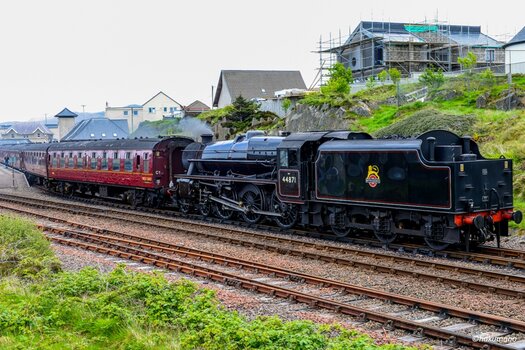 Mallaig (8) Potter 3.jpg