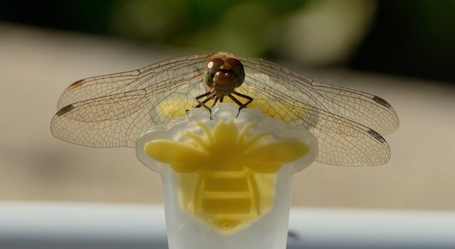 DSC_8614_00001n.jpg