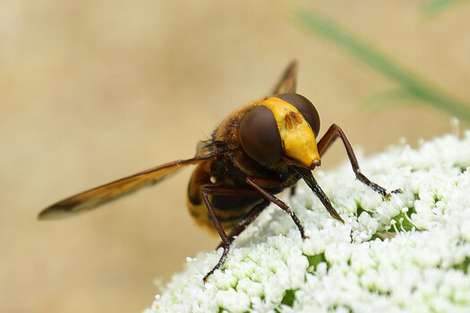 _DSC0015_00001_01.jpg