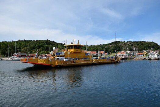 DSC_2990a.jpg