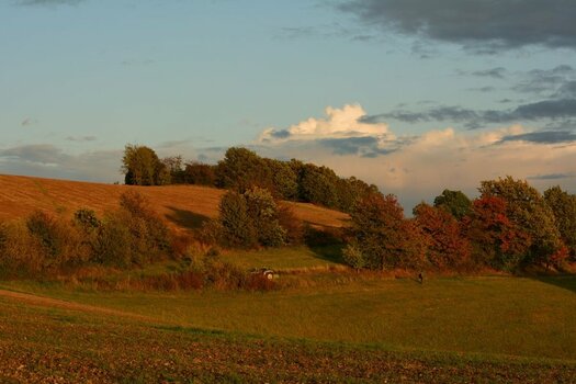DSC_0528_00001n.jpg