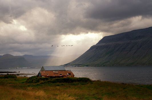DSC_2389-d.jpg DSC_2389-d.jpg