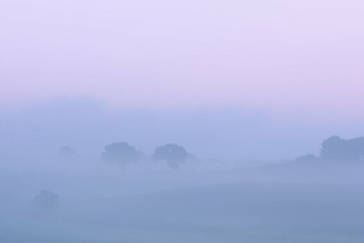 Nikonforum_Nebel.jpg