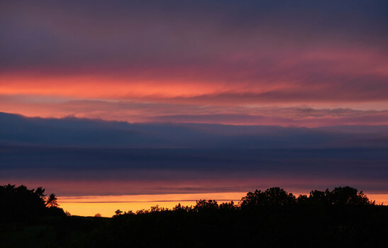 PA031218_c1a.jpg