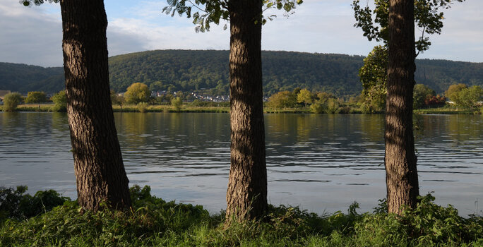 römisch drei_00001DSC_1323.jpg