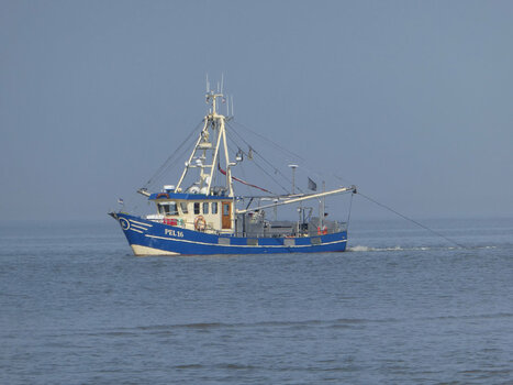 P1000680 Kopie.jpg