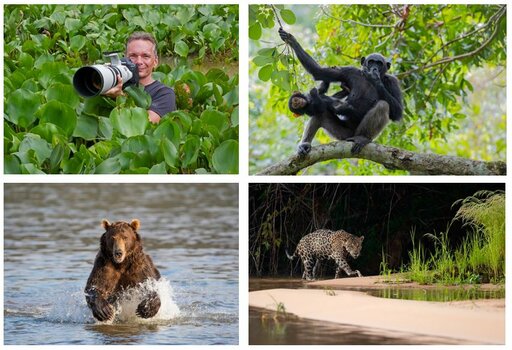 Collage aus vier Ausstellungsbildern zur Fotoausstellung im Allwetterzoo Münster bis April 2022 Collage aus vier Ausstellungsbildern zur Fotoausstellung im Allwetterzoo Münster bis April 2022