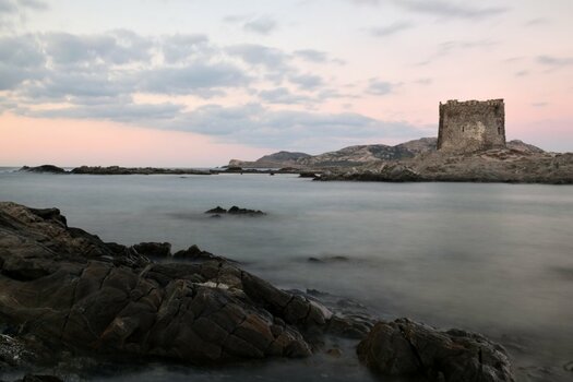 DSC_0015.jpg