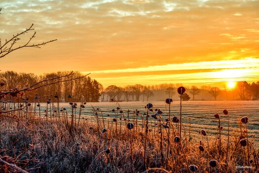 Sonnenaufgang 1.jpg
