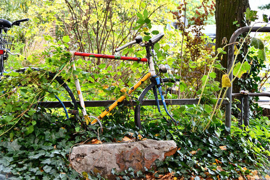 DSC_Fahrrad Kopie.jpg