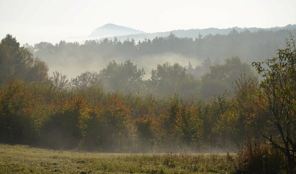 DSC_3842 (2)n.JPG