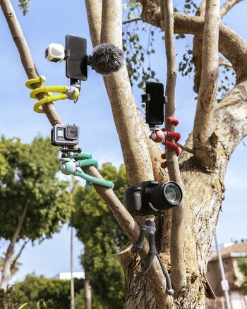 Vier JOBY PodZilla bestückt mit Kameras und Smartphones in einem Baum