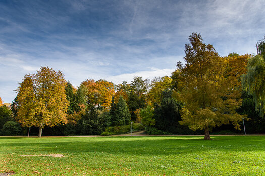 750_3199.JPG