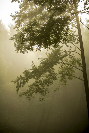 Herbst (10).jpg