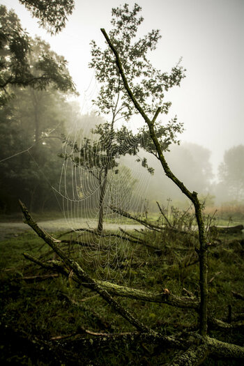 Herbst (20).jpg