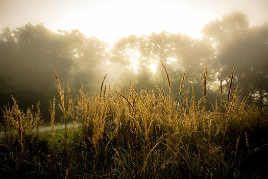 Herbst (71).jpg