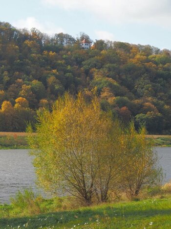 PA232201n.JPG