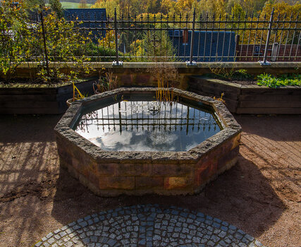 750_3311.JPG