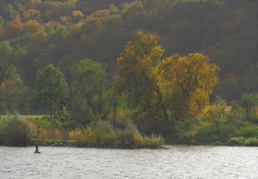 PA232198 (3)n.JPG