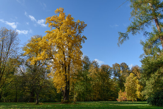 750_3344.JPG