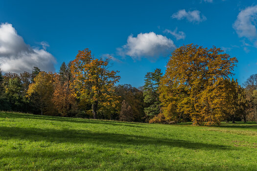 750_3357_DxO.JPG