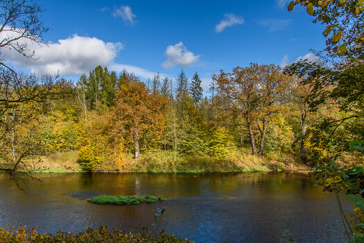 750_3426.JPG