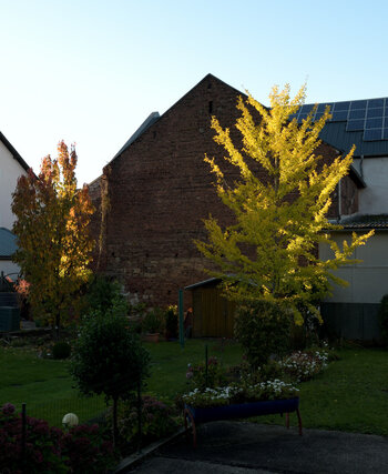 garten_00001DSC_1325.jpg