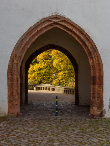 750_3436.JPG