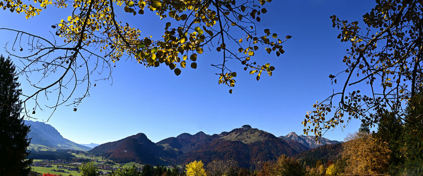 panorama102021.jpg