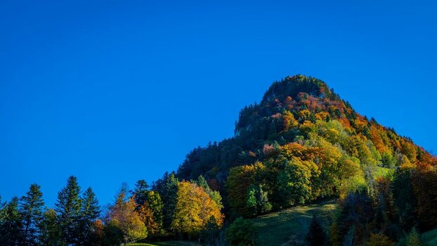D85_9689.jpg