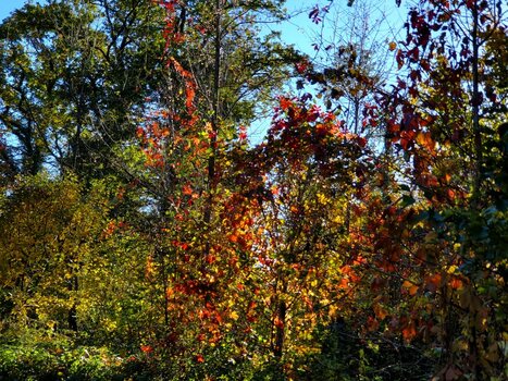 20211024_154422.jpg