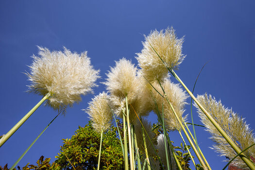 20211026_NZ7_2363NF.jpg