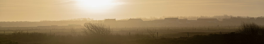 langeoog18_181.jpg