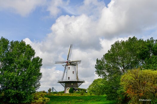 Mühle Veere 1.jpg